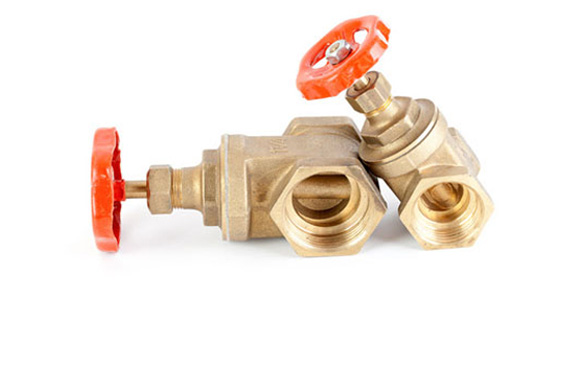Eco Brass Fittings
